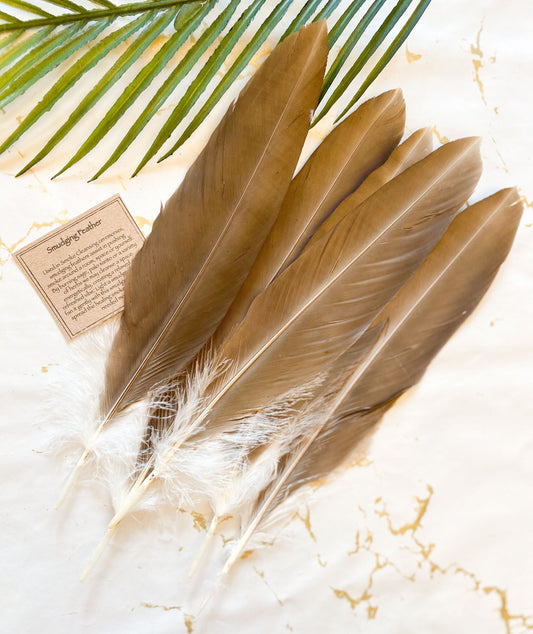 Eagle Feather / Vegan Friendly Faux Imitation -  Smudging & Cleansing Ceremonies