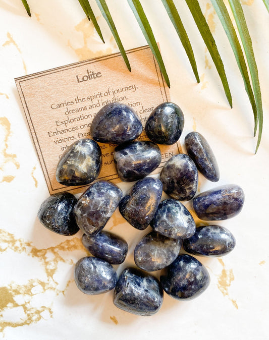 Iolite Crystal Tumbled Stone - Calming, Intuition & Positivity