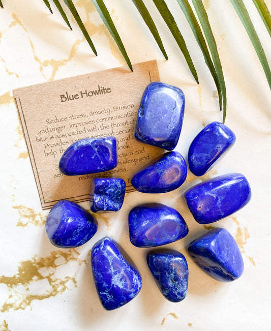Navy Blue Howlite Crystal Tumbled Stone - Communication, Security & Positivity