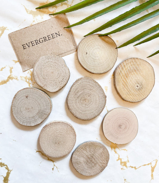 Natural Wood Slices / Log - Paint Your Own!