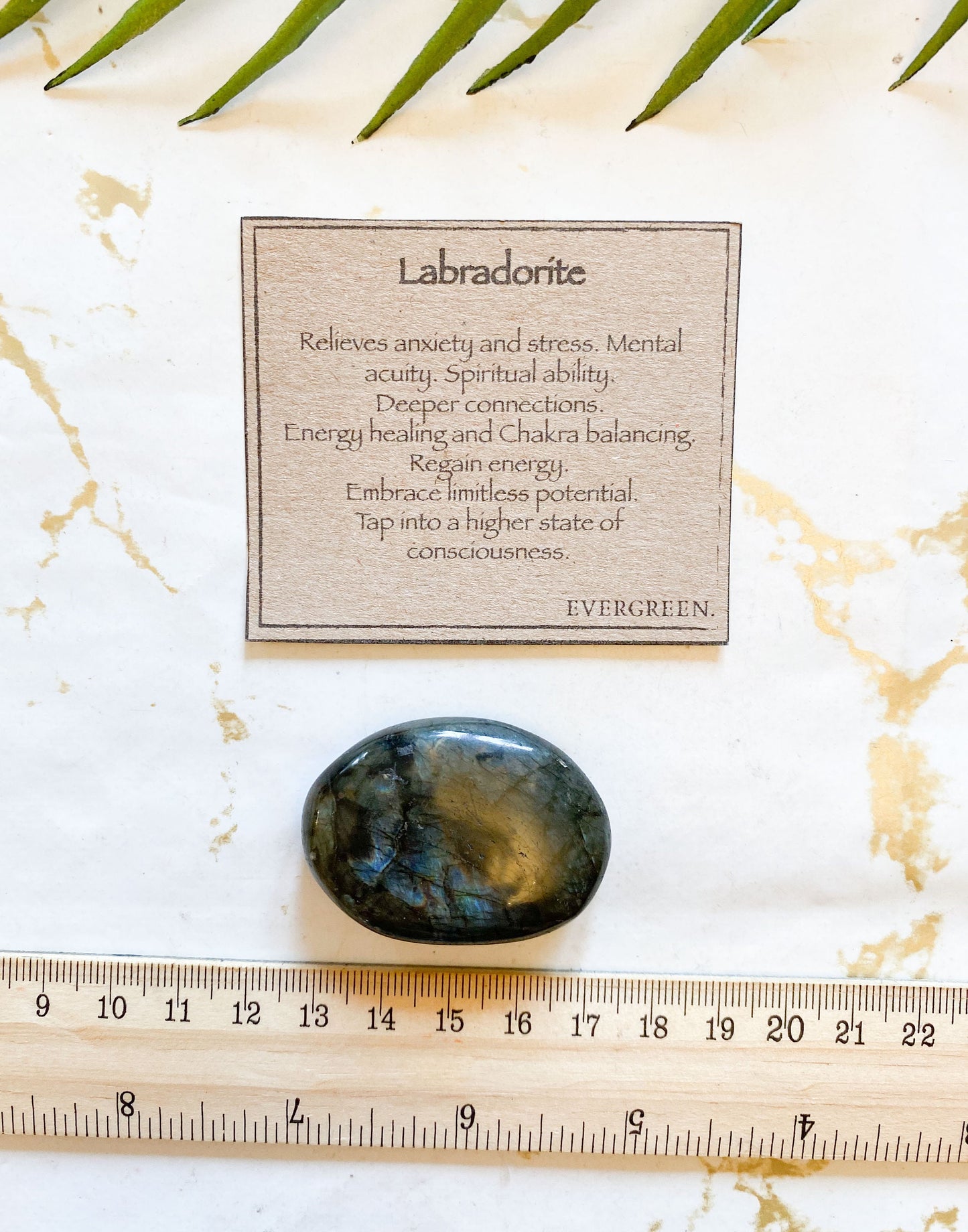 Labradorite Crystal Gallet - Relieves Anxiety & Stress