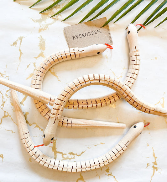 Wooden Wiggly Snake Fidget Toy - Paint Your Own!