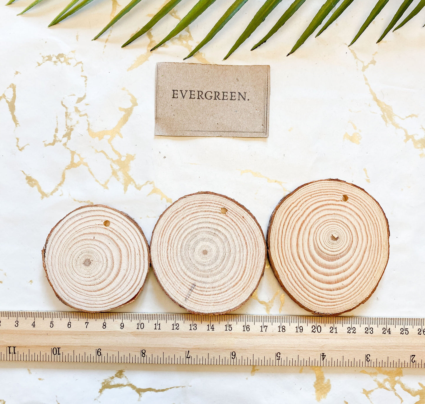 Drilled Wood Slice / Log -Decorate Your Own!
