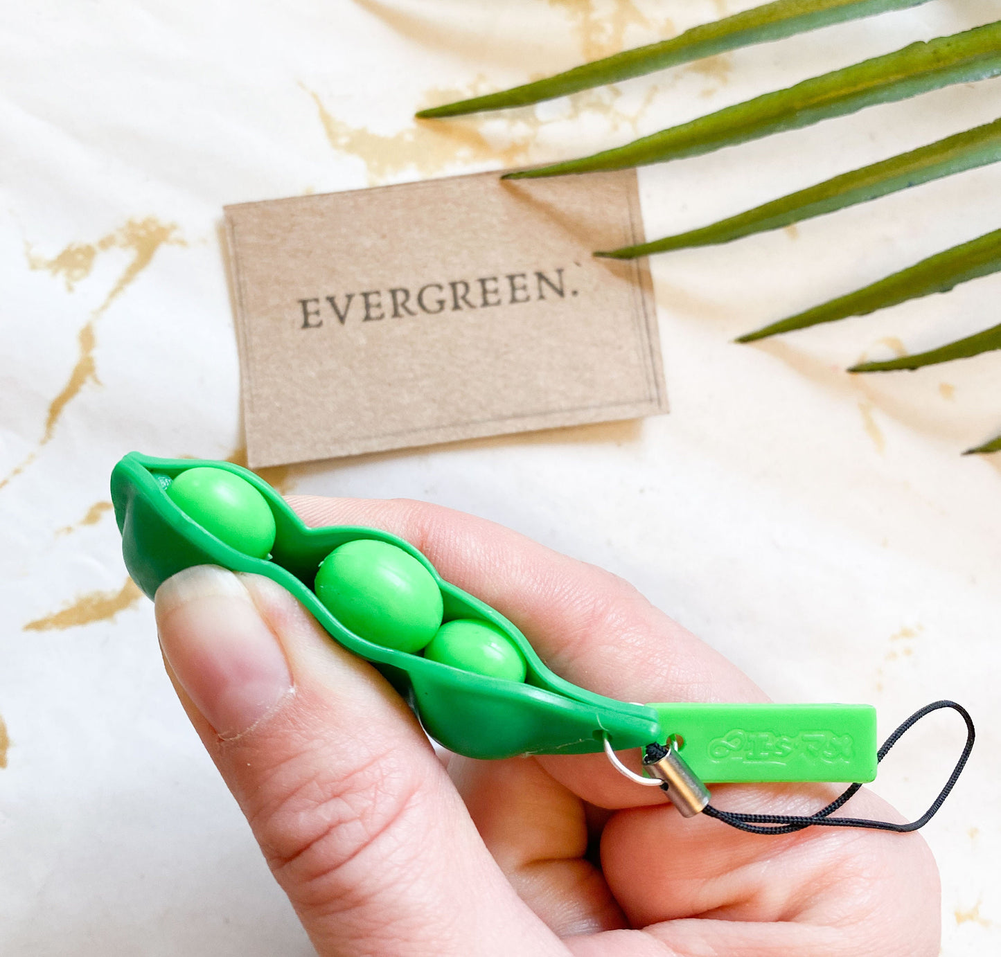Pea Pod / Peanut Stress Relief / Fidget Toy Keychain - Cute, Love, Boyfriend, Girlfriend, Friends, Best Friends, Siblings