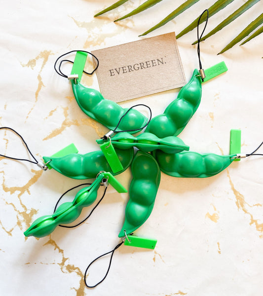 Pea Pod / Peanut Stress Relief / Fidget Toy Keychain - Cute, Love, Boyfriend, Girlfriend, Friends, Best Friends, Siblings