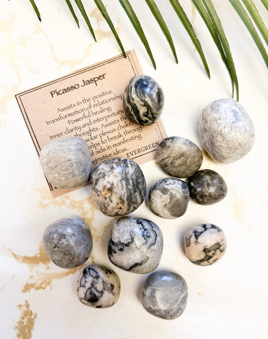 Picasso Jasper Crystal Tumbled Stone - Healing, Transformation & Clarity