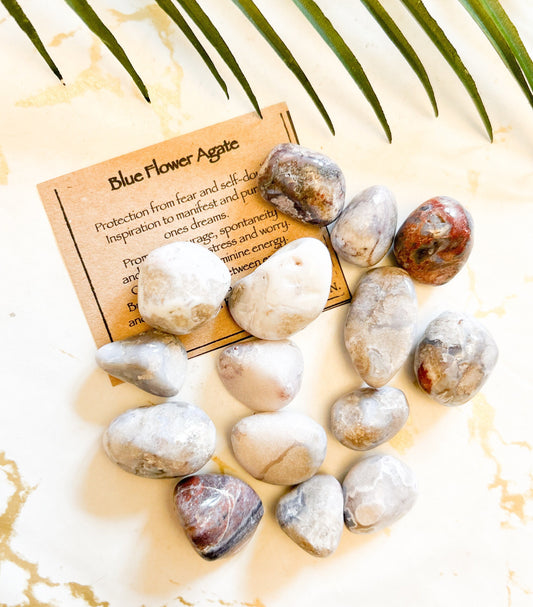 Blue Flower Agate Tumbled Stone - Protection, Inspiration & Manifestation