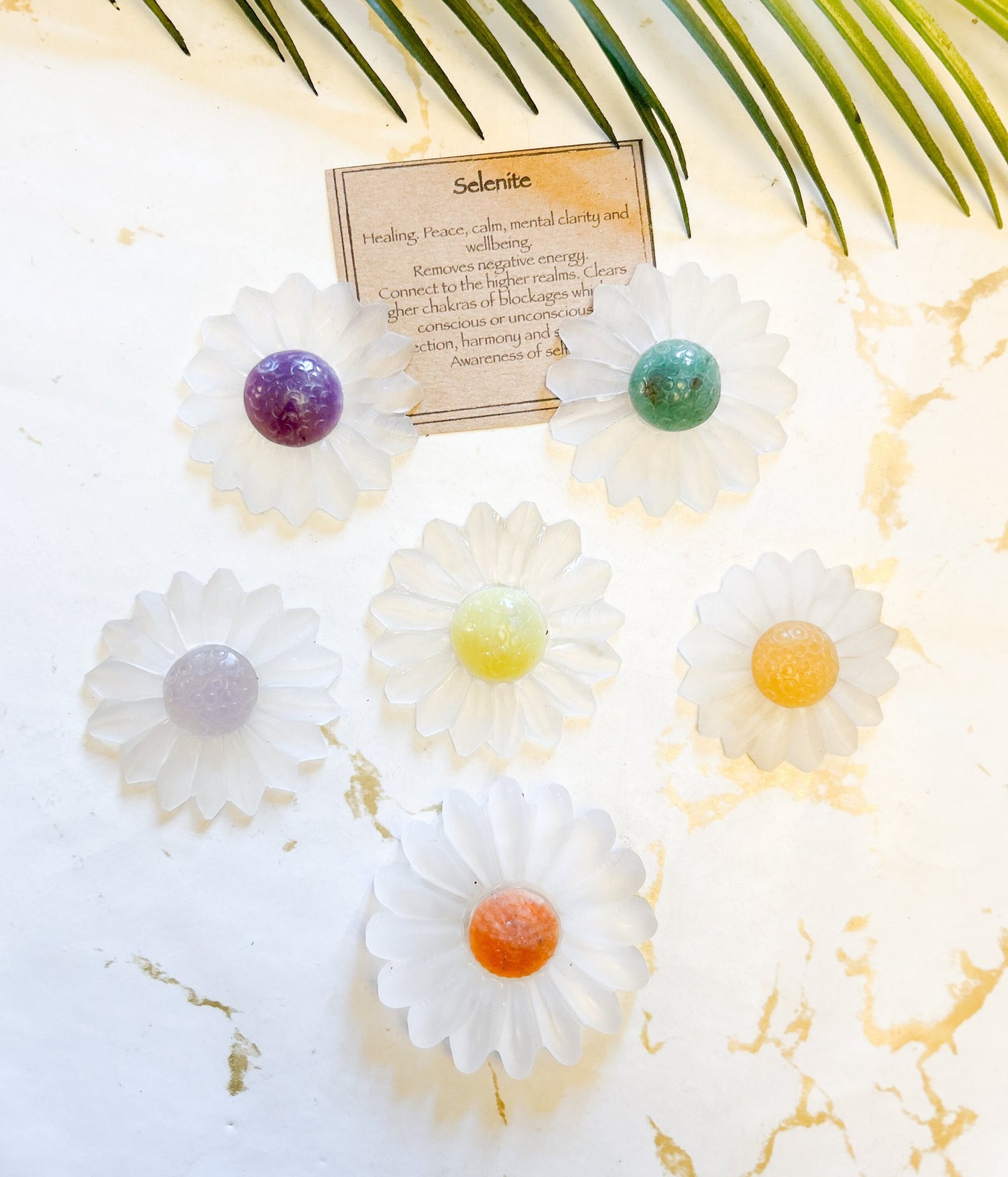 Selenite Crystal Flower - Wide Variety Available!