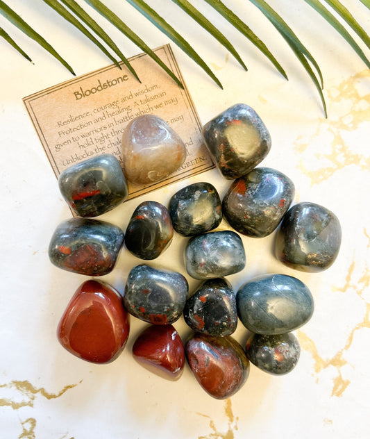 Bloodstone Crystal Tumbled Stone - Resilience, Courage & Wisdom
