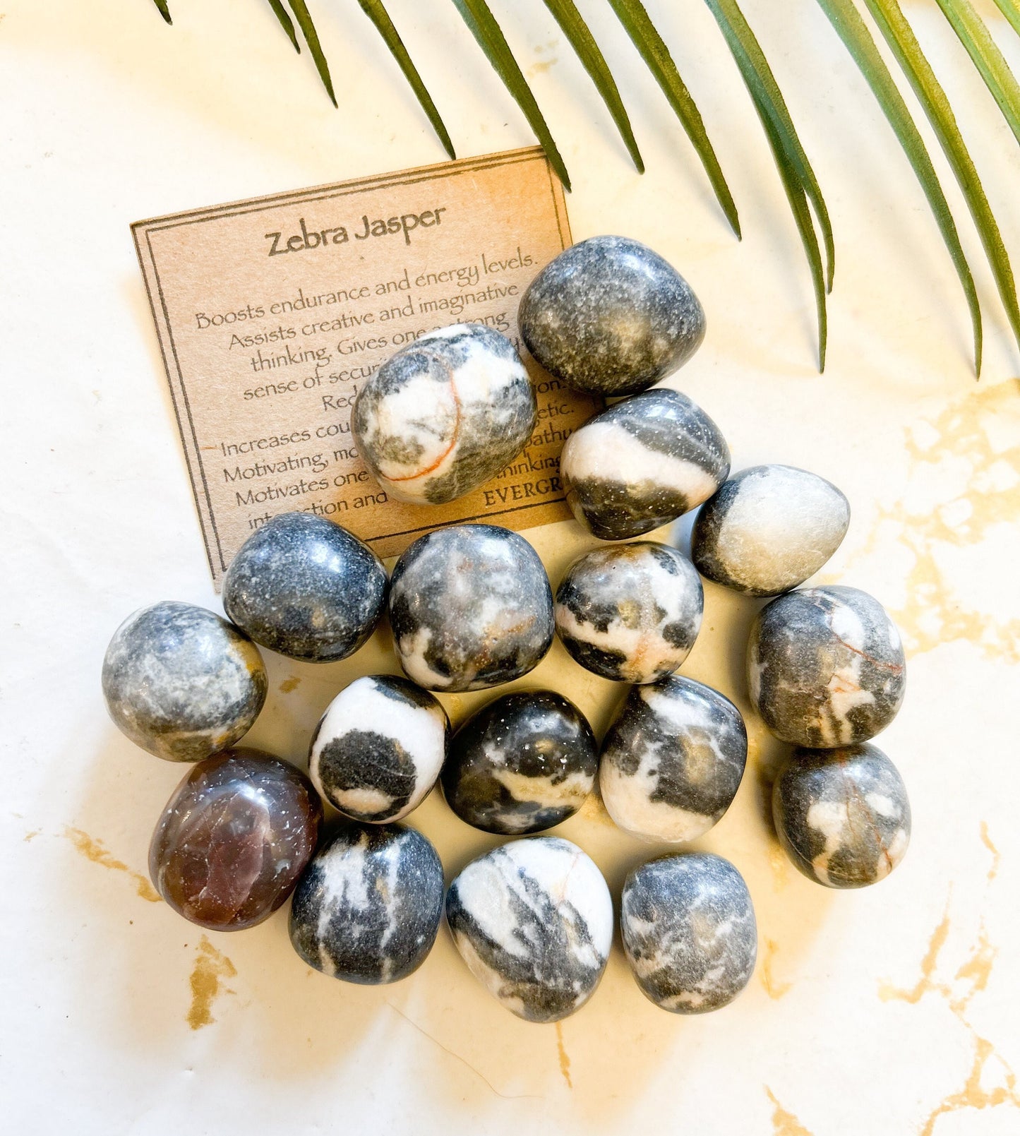 Black / White Zebra Jasper Crystal Tumbled Stone - Energy, Stability & Courage