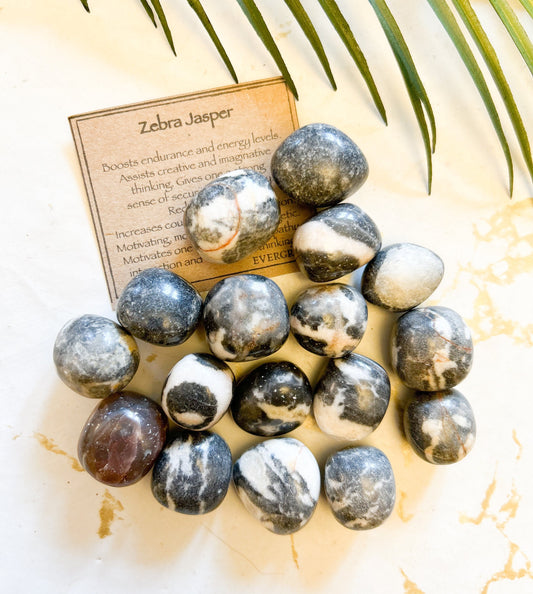 Black / White Zebra Jasper Crystal Tumbled Stone - Energy, Stability & Courage