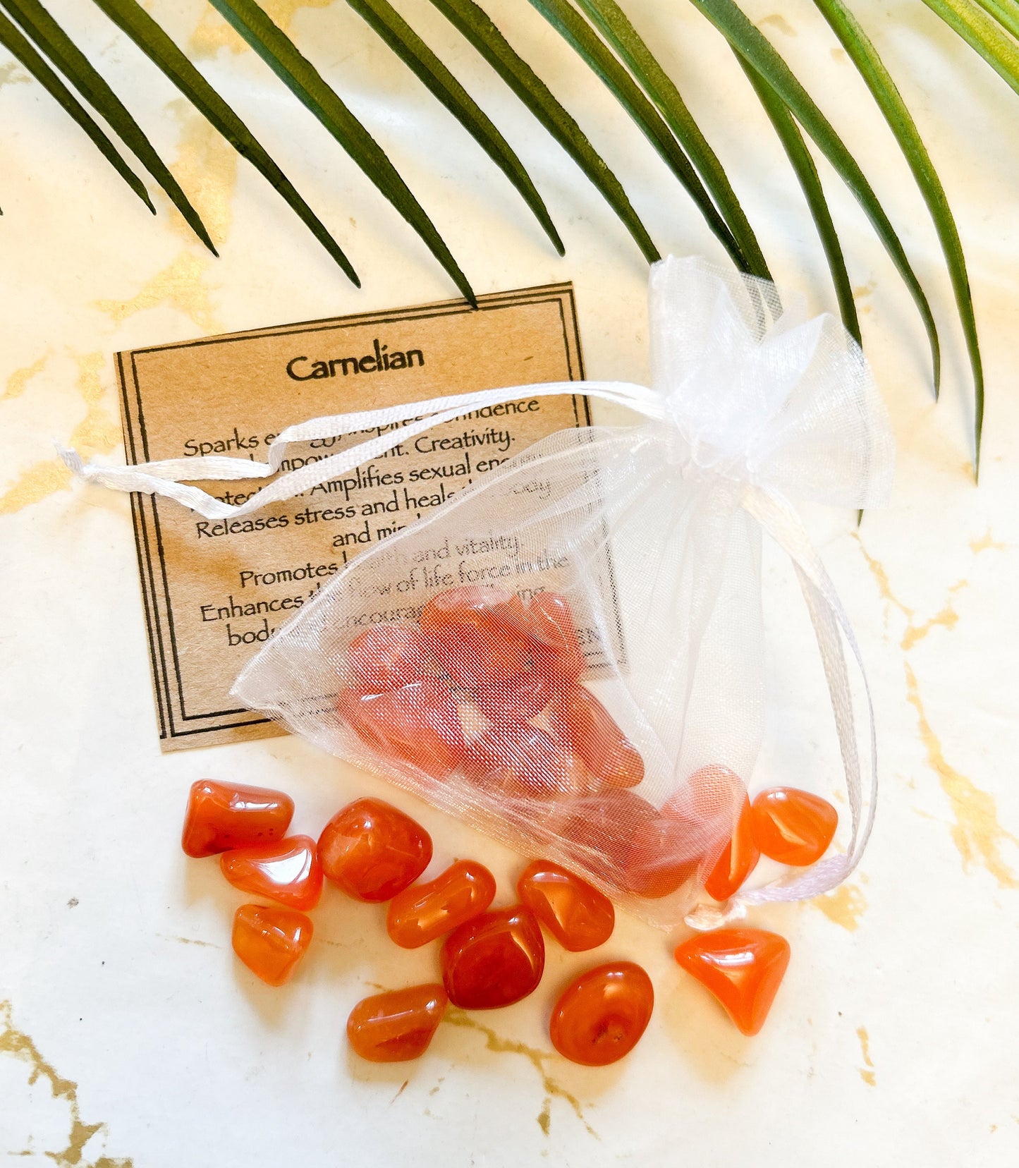 Carnelian Crystal Chip Gift Bag 20g - Confidence, Empowerment & Creativity