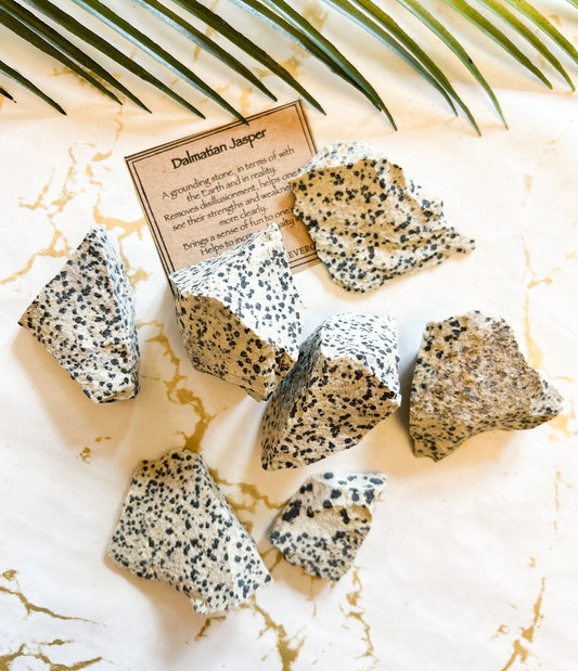 Raw / Rough Dalmatian Jasper Crystal - Grounding, Strength & Loyalty