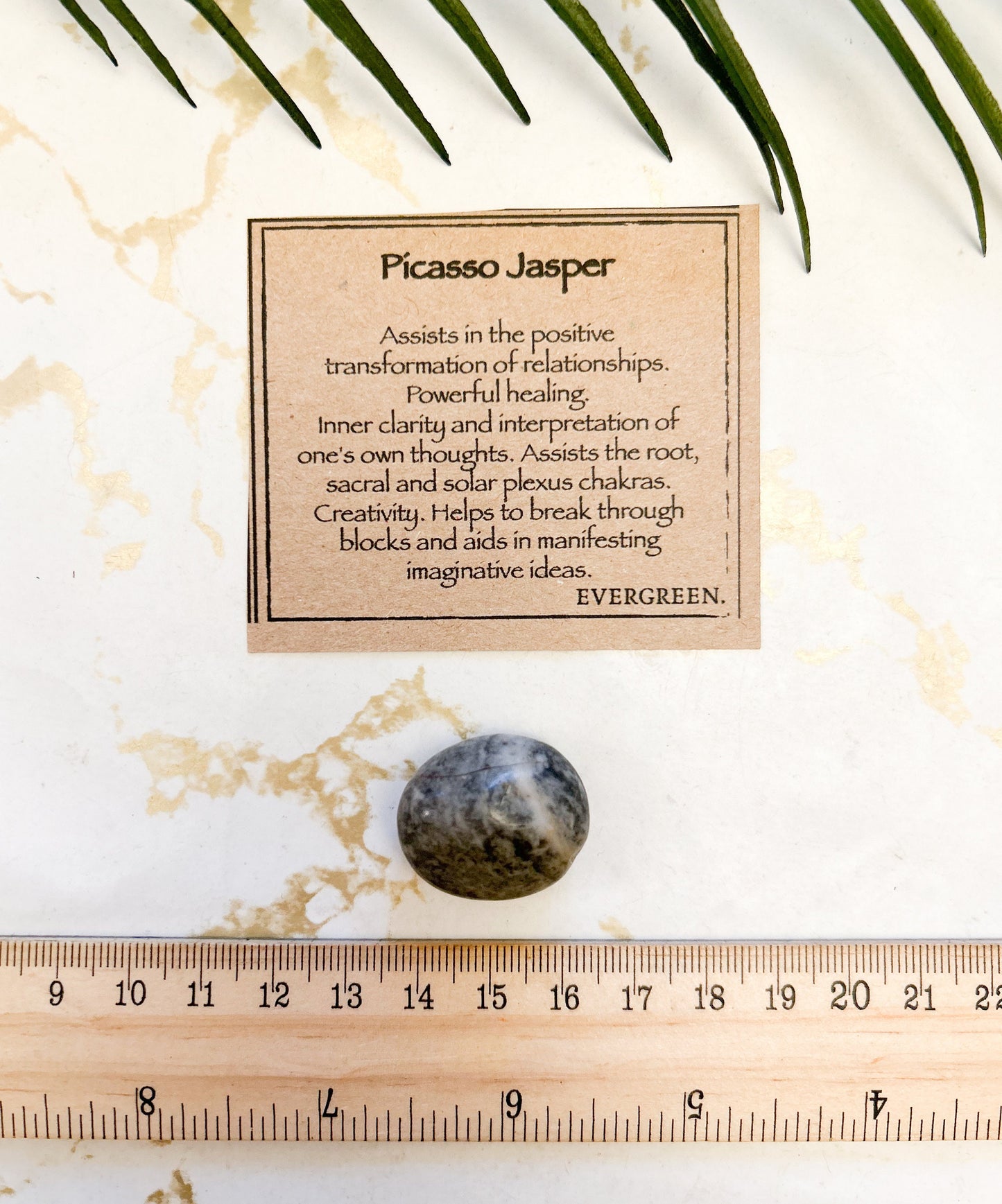 Picasso Jasper Crystal Tumbled Stone - Healing, Transformation & Clarity