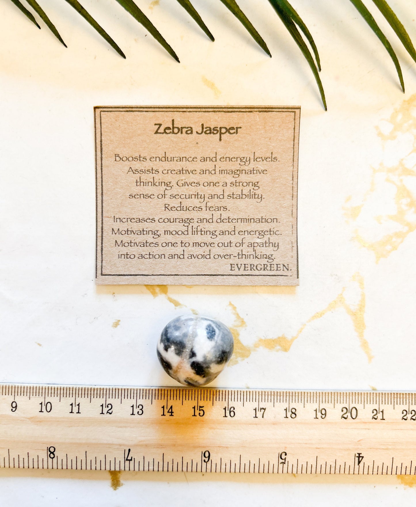 Black / White Zebra Jasper Crystal Tumbled Stone - Energy, Stability & Courage