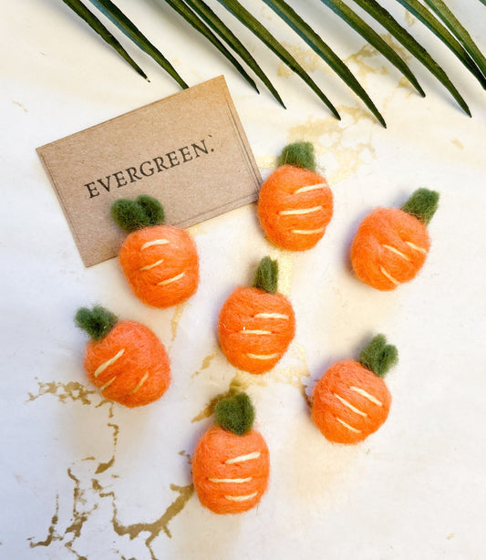 Handmade Felt Carrot - Easter, Bunny, Vegetable, Garden