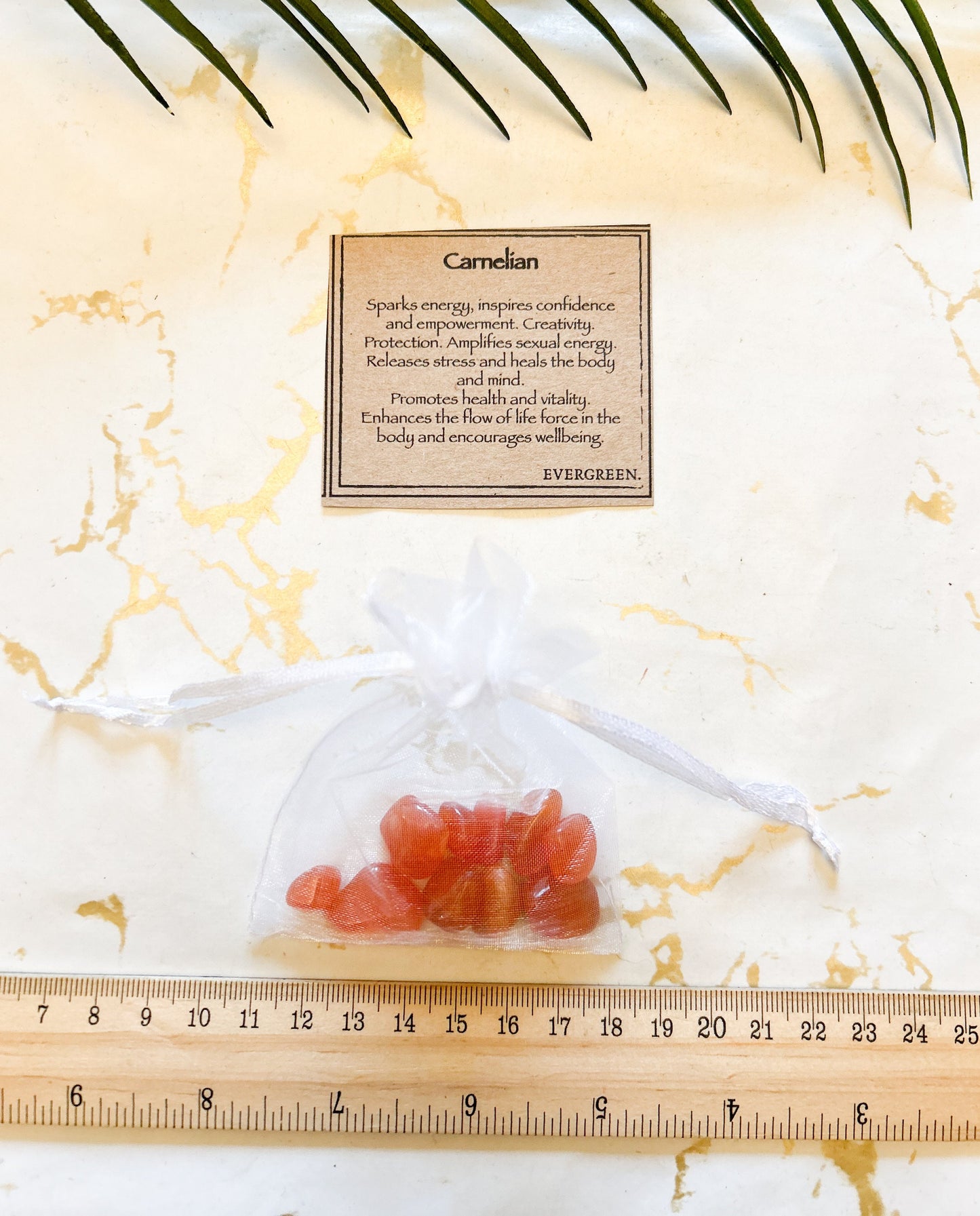 Carnelian Crystal Chip Gift Bag 20g - Confidence, Empowerment & Creativity