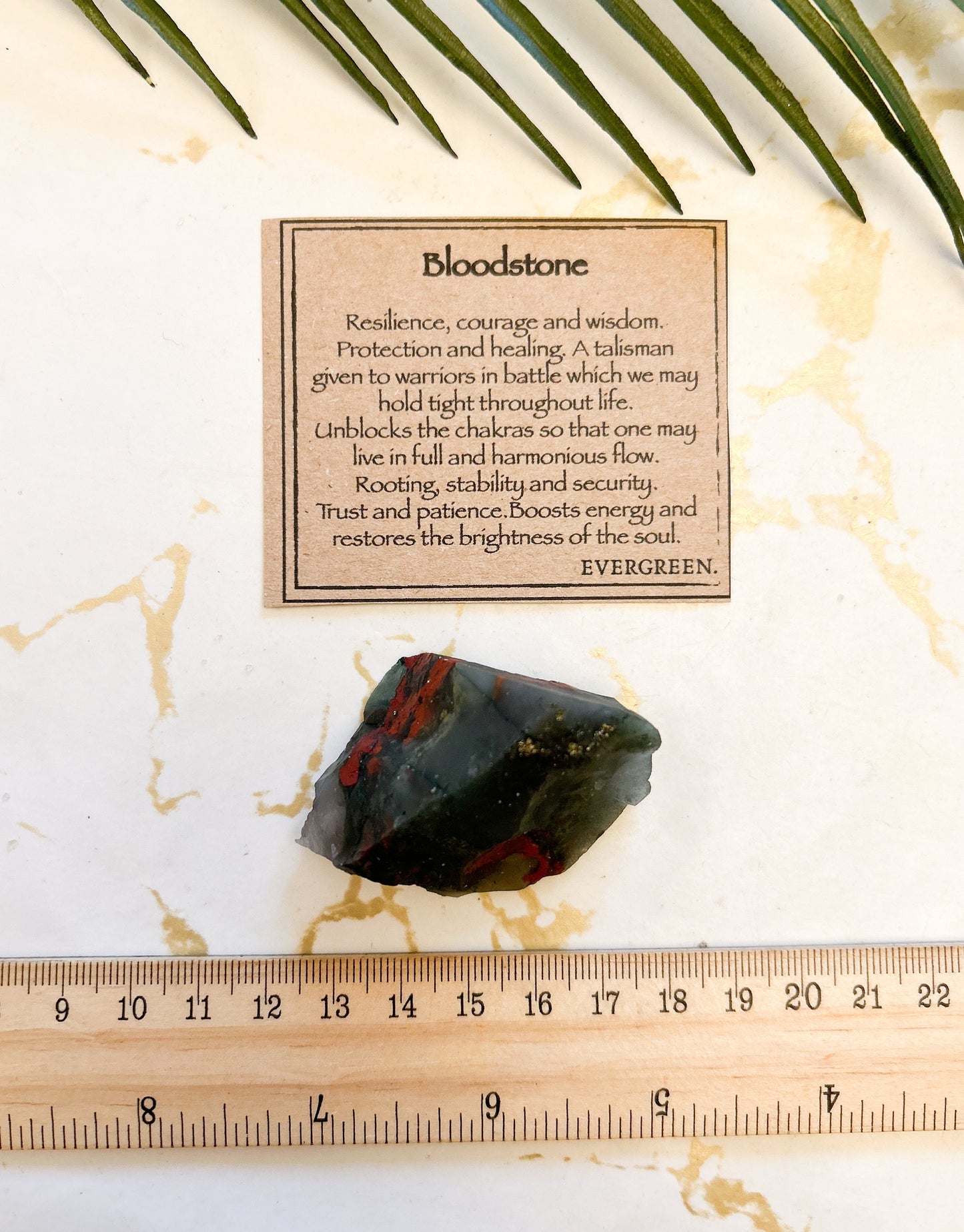 Raw / Rough Bloodstone Crystal - Resilience, Courage & Wisdom