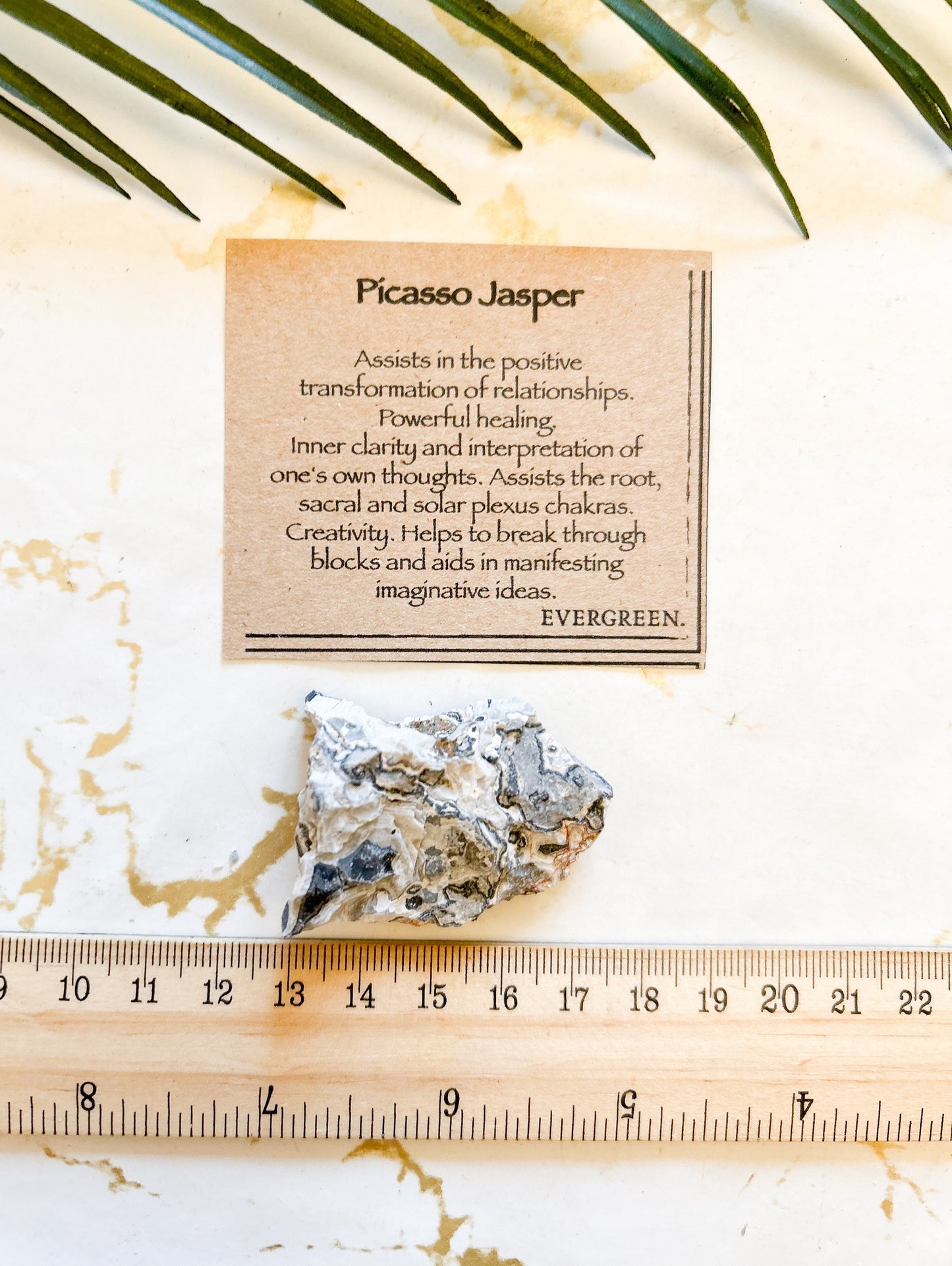 Raw / Rough Picasso Jasper Crystal - Transformation, Healing & Clarity