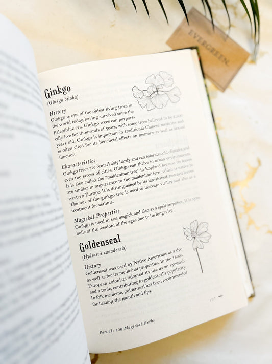 The Modern Witchcraft Guide To Magickal Herbs