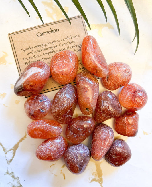Carnelian Crystal Tumbled Stone - Energy, Confidence & Empowerment