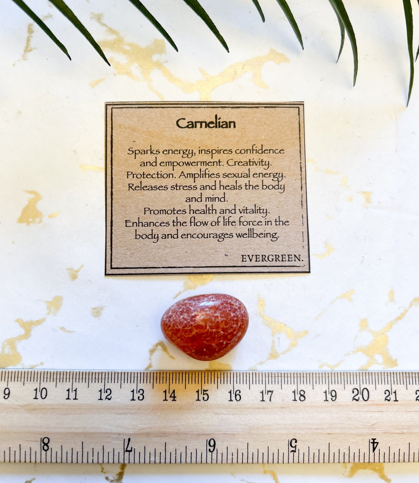 Carnelian Crystal Tumbled Stone - Energy, Confidence & Empowerment