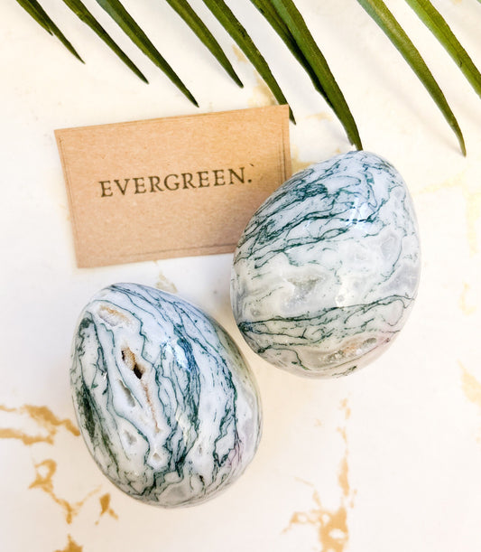Tree Agate Crystal Druzy Egg - Grounding, Protection & Self-Expression