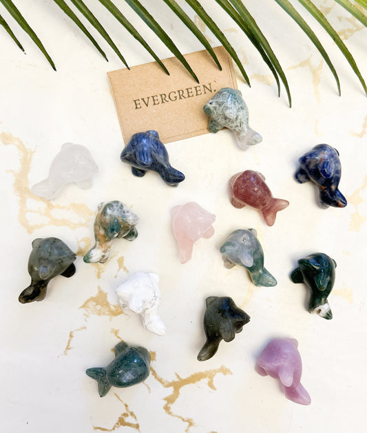 Crystal Dolphin - Quartz / Agate / Howlite / Sodalite / Aventurine / Lepidolite