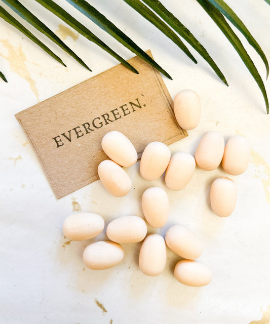 Wooden Unpainted Craft Egg - Easter / Chicken / Garden