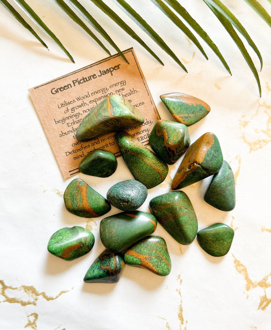 Green Picture Jasper Crystal Tumbled Stone - Growth, Vitality & New Beginnings