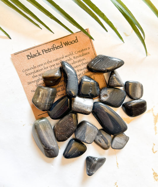 Black petrified Wood Crystal Tumbled Stone - Grounding, Strength & Patience
