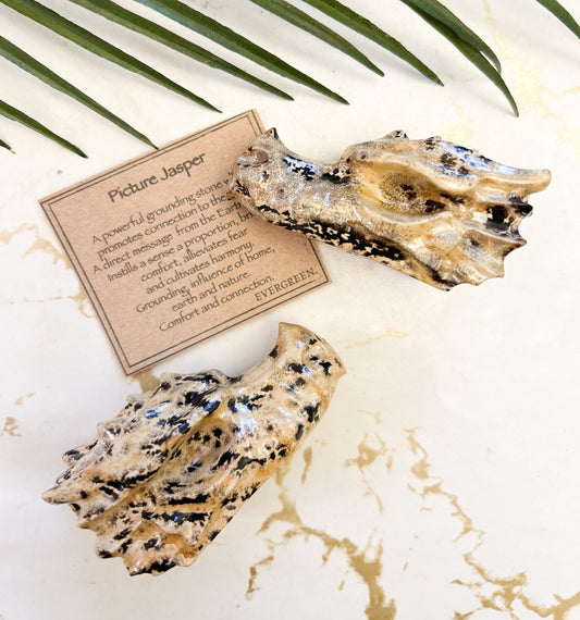 Picture Jasper Crystal Dragon Skull Carving - Grounding, Comfort & Connection