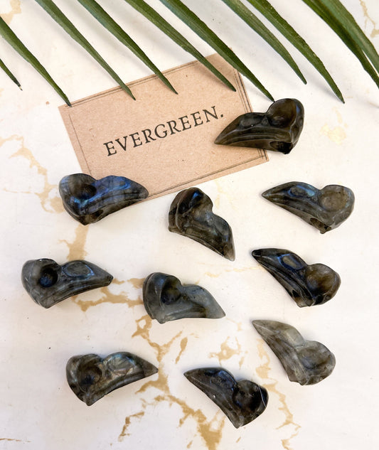 Labradorite Crystal Bird Skull Carving - Relieves Anxiety & Stress