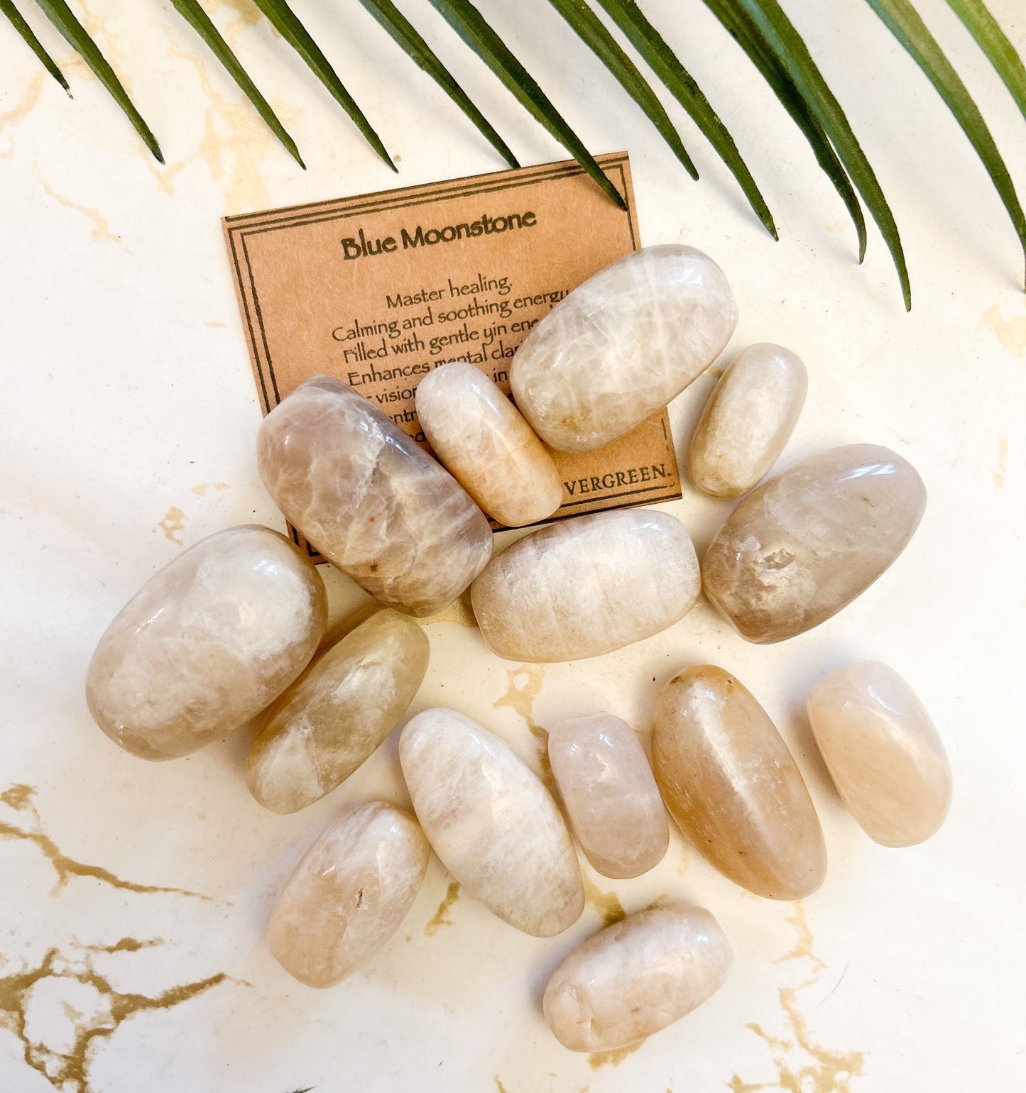 Blue Moonstone Crystal Tumbled Stone - Calming, Soothing & Clarity