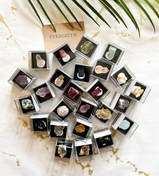Crystal / Mineral / Gemstone Specimen In A Display Case - Wide Variety Available!
