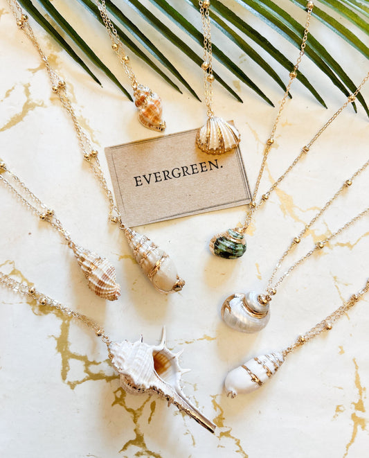 Natural Seashell Pendant Necklace - Wide Variety Available!