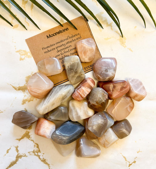 Moonstone Crystal Tumbled Stone - Balance, Inner Peace & Stability