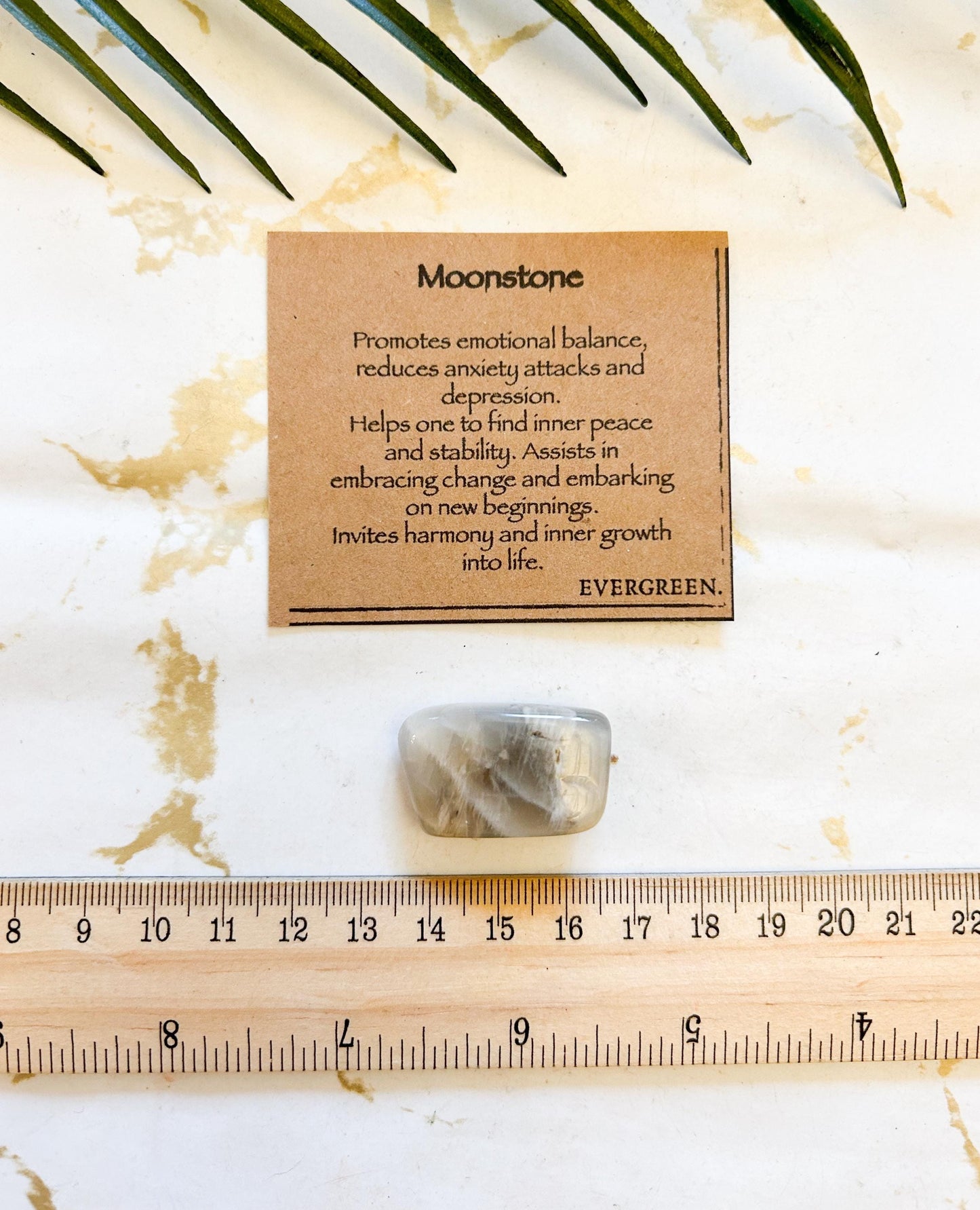 Moonstone Crystal Tumbled Stone - Balance, Inner Peace & Stability
