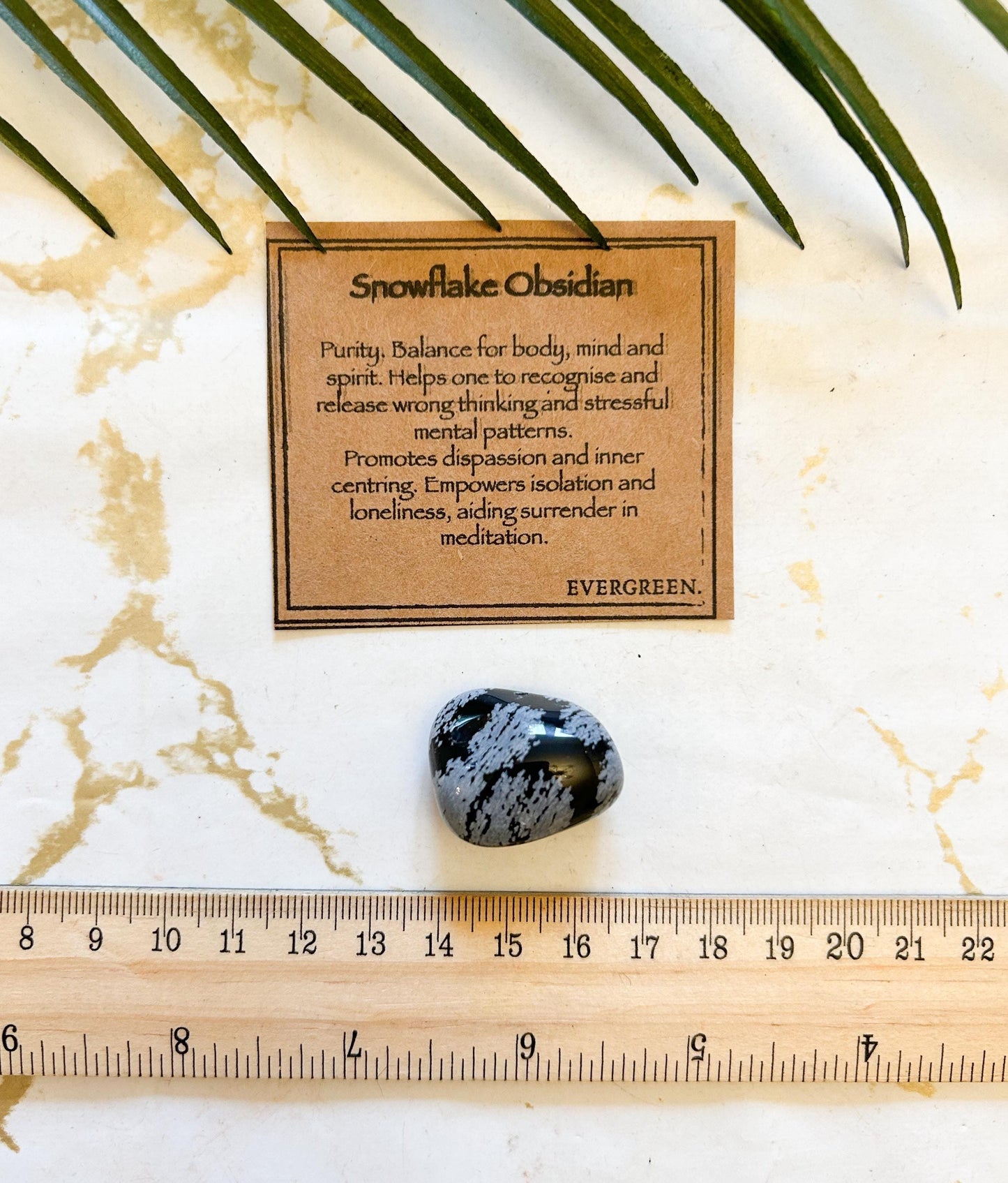 Snowflake Obsidian Crystal Tumbled Stone - Empowerment, Purity & Balance