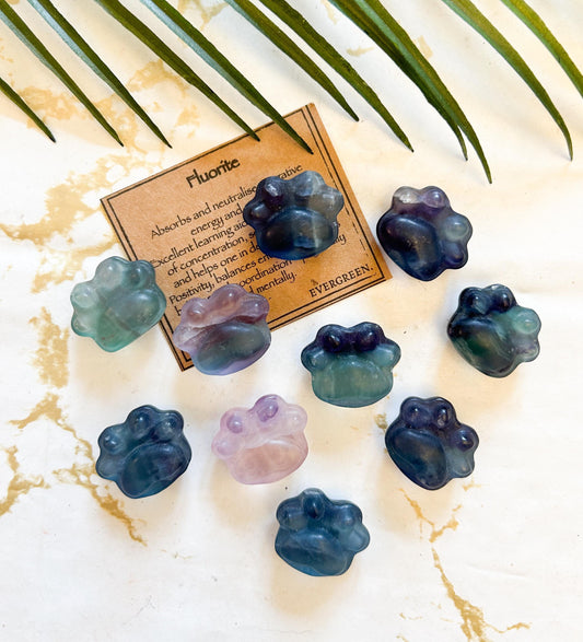 Fluorite Crystal Paw Print Carving - Balance, Concentration & Self-Confidence