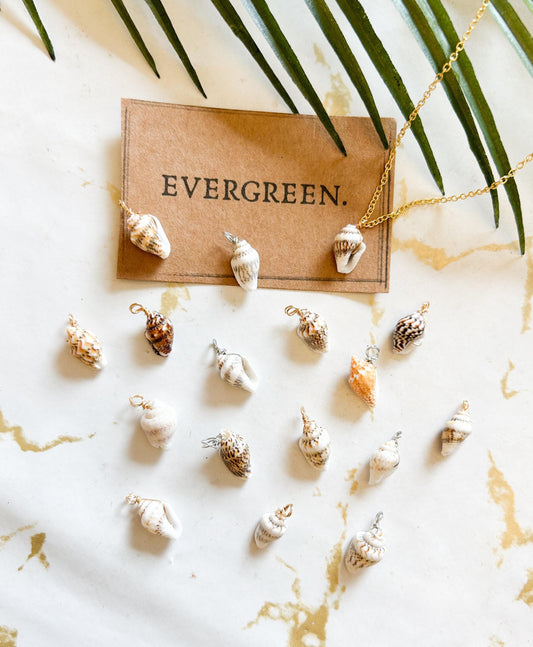 Seashell Pendant / Charm - Variety Of Chains Available!
