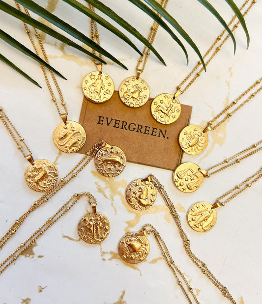 Stainless Steel Gold Coin Zodiac / Star Sign / Constellations Pendant Necklace