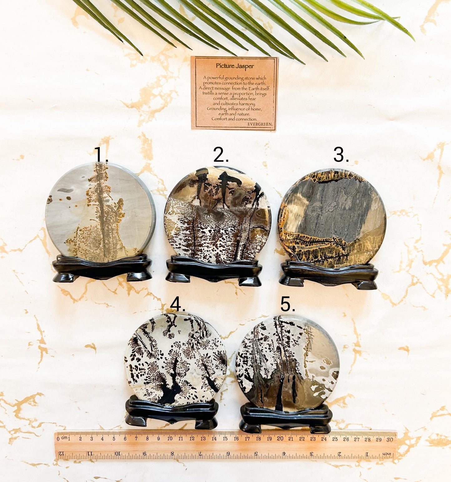 Round Picture Jasper Crystal Carving - Grounding, Comfort & Connection