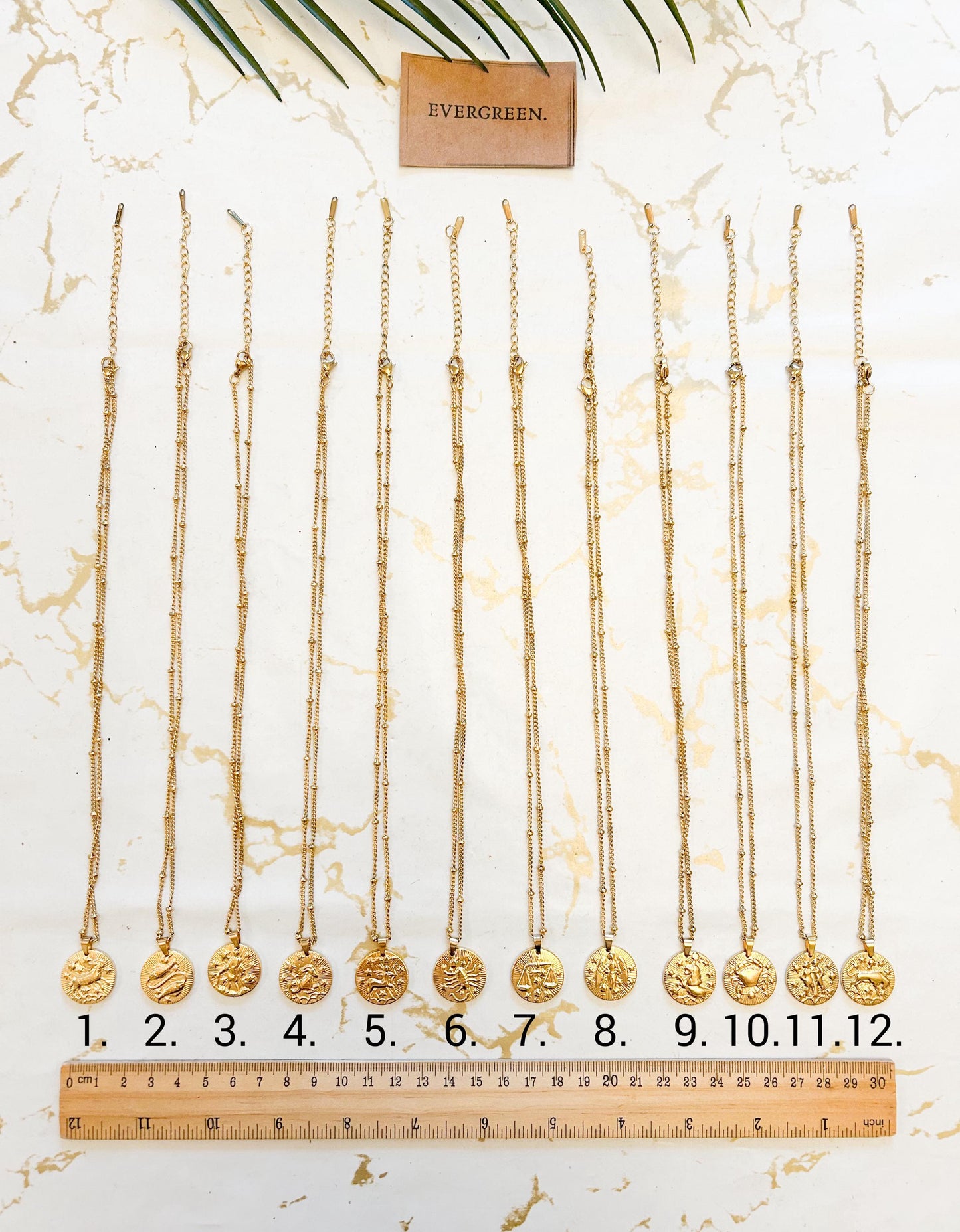 Stainless Steel Gold Coin Zodiac / Star Sign / Constellations Pendant Necklace