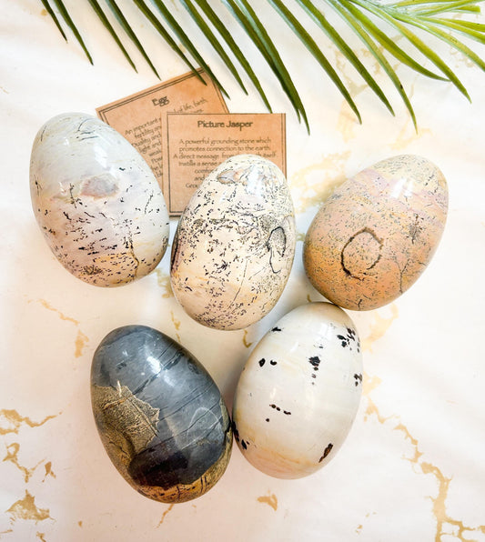 Picture Jasper Crystal Egg 90mm - Grounding, Connection & New Beginnings