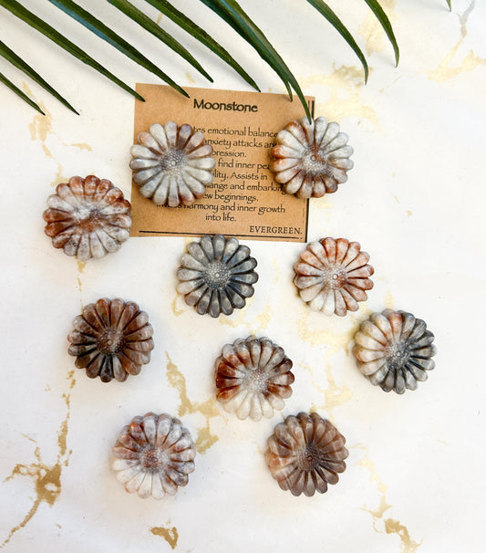 Moonstone Crystal Sunflower - Balance, Peace & Stability